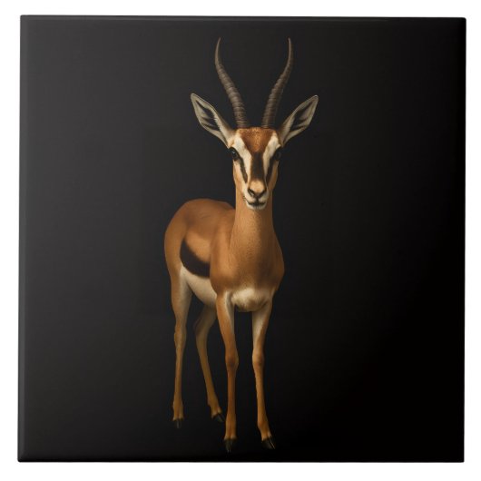 Schwarze Luxusfliese 4 mit eleganter Gazella Fliese (Vorderseite)