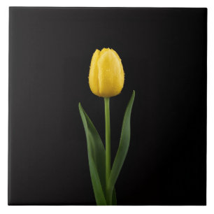 Schwarze Luxusfliese 4 mit golden-gelber Tulpe Fliese