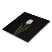Schwarze Luxusfliese 4 mit Perlenweißer Tulpe Fliese (Seite)