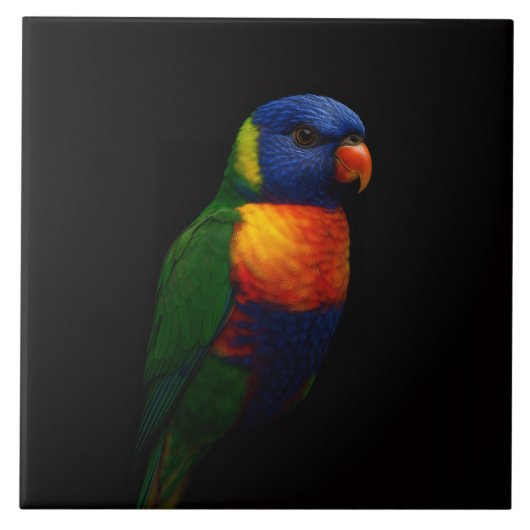 Schwarze Luxusfliese 4 mit Regenbogen-Lori-Papagei Fliese (Vorderseite)