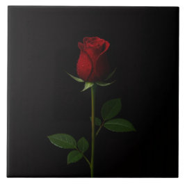 Schwarze Luxusfliese 4 mit samtener roter Rose Fliese