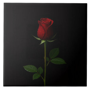 Schwarze Luxusfliese 4 mit samtener roter Rose Fliese
