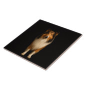 Schwarze Luxusfliese 4 mit treuem Collie-Hund Fliese (Seite)