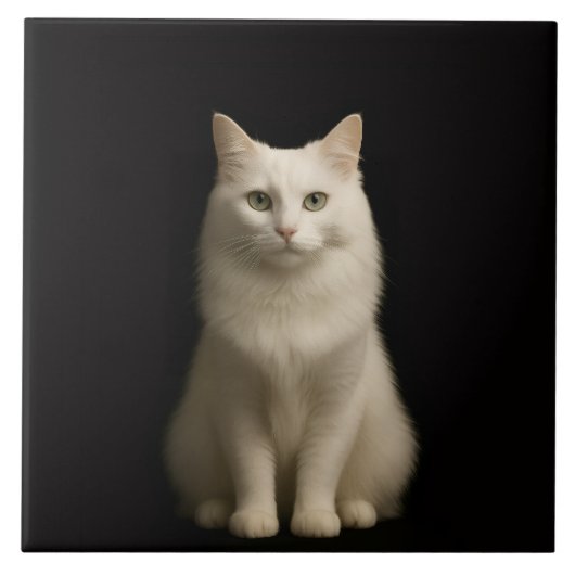 Schwarze Luxusfliese 4 mit Türkischer Angora-Katze Fliese (Vorderseite)