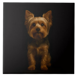 Schwarze Luxusfliese 4 mit Yorkshire Terrier Fliese