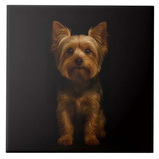 Schwarze Luxusfliese 4 mit Yorkshire Terrier Fliese (Vorderseite)