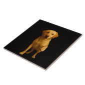 Schwarze Luxusfliese mit zartem Labrador Fliese (Seite)