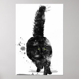 SCHWARZE MAINE COON CAT - POSTER