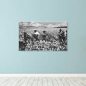 Schwarze Männer pflücken Ananas bei der Ernte - Leinwanddruck (Insitu (Holzboden))