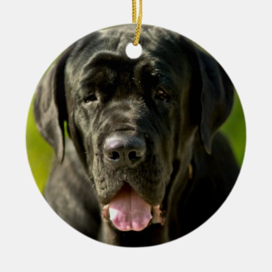 Schwarze Mastiff-Verzierung Keramik Ornament (Vorne)