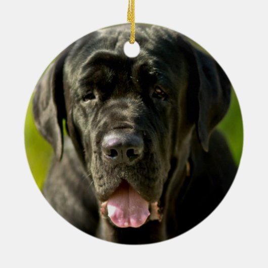 Schwarze Mastiff-Verzierung Keramik Ornament (Hinten)