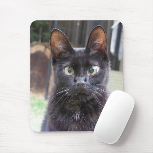 Schwarze Miezekatze-Katze Mousepad (Mit Mouse)