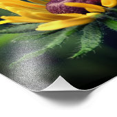 Schwarze Mit Augen Susan-Blume 8 x 10 Fotodruck (Ecke)