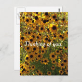 Schwarze Mit Augen Susan-Blume Denken Sie an Postk Postkarte (Vorne/Hinten)