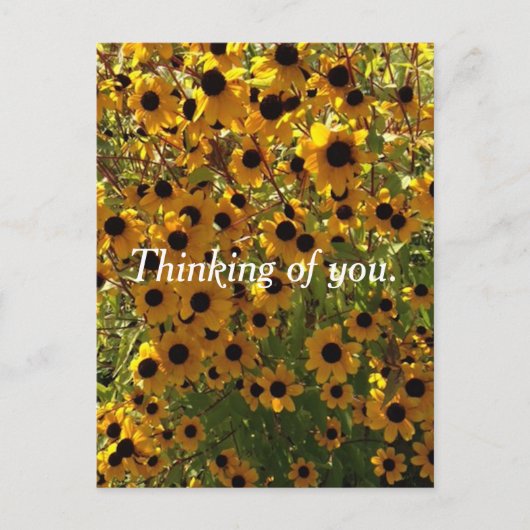 Schwarze Mit Augen Susan-Blume Denken Sie an Postk Postkarte (Vorderseite)