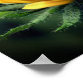 Schwarze Mit Augen Susan Blume Entfaltung Poster (Ecke)