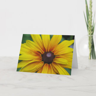 Schwarze mit Augen Susan-Blumen-Gruß-Karte Karte