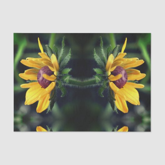 Schwarze Mit Augen Susan entfaltet Abstrakte Decou Seidenpapier (Vorderseite)