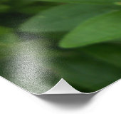 Schwarze Mit Augen Susan Hübsch sitzen Fotodruck (Ecke)