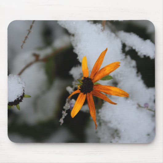 schwarze mit Augen Susan im ersten Schnee Mousepad (Vorne)