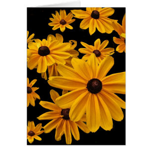 Schwarze mit Augen Susan-mit BlumenBlumen-leere
