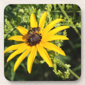 Schwarze Mit Augen Susan mit Wasp Getränkeuntersetzer (Vorderseite)