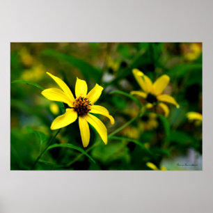 Schwarze Mit Augen Susan Print Poster