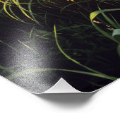 Schwarze mit Augen Susans in der Hochgrasprarie be Fotodruck (Ecke)