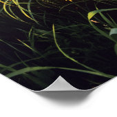 Schwarze mit Augen Susans in der Hochgrasprarie be Poster (Ecke)