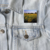 Schwarze mit Augen Susans in der Hose von Neil Button (Beispiel)