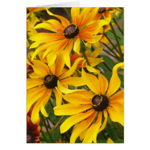 Schwarze mit Augen Susans Karte