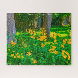 Schwarze Mit Augen Susans Ohio. Jigsaw Puzzle