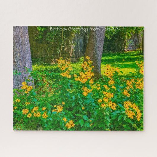 Schwarze Mit Augen Susans Ohio. Jigsaw Puzzle (Horizontal)