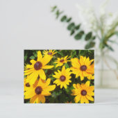 Schwarze Mit Augen Susans - Rudbeckias Postkarte (Stehend Vorderseite)
