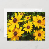 Schwarze Mit Augen Susans - Rudbeckias Postkarte (Vorne/Hinten)