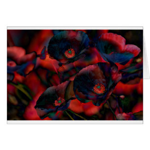 Schwarze Mohnblumen