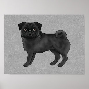 Schwarze Mops-Hund-Cartoon-Illustration Poster