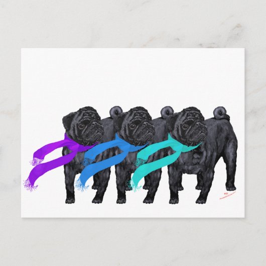 Schwarze Mops in Scarves Postkarte (Vorderseite)