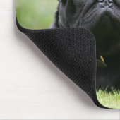 Schwarze Mops-Niederlegung Mousepad (Ecke)