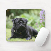 Schwarze Mops-Niederlegung Mousepad (Mit Mouse)