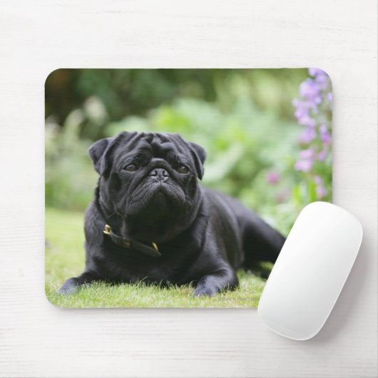 Schwarze Mops-Niederlegung Mousepad (Mit Mouse)