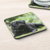 Schwarze Mops-Niederlegung Untersetzer (Linke Seite)