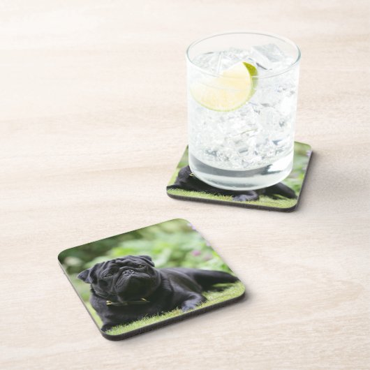 Schwarze Mops-Niederlegung Untersetzer (Rechte Seite)