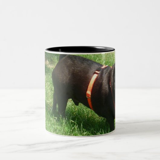 schwarze Mops Tasse (Mittel)
