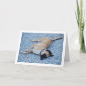 Schwarze Mouth Cur Canine auf Kies Karte (Vorderseite)