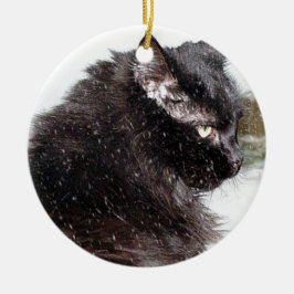 Schwarze norwegische Waldkatze in der Keramikornament