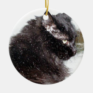 Schwarze norwegische Waldkatze in der Keramikornament