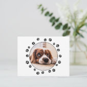 Schwarze Pawprints von Puppy-Foto Postkarte (Stehend Vorderseite)