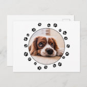Schwarze Pawprints von Puppy-Foto Postkarte (Vorne/Hinten)