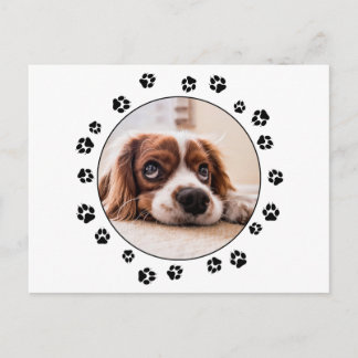 Schwarze Pawprints von Puppy-Foto Postkarte